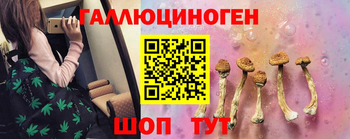 Лесосибирск  Псилоцибиновые грибы прущие грибы  Псилоцибиновые грибы мицелий  Вход с VPN 