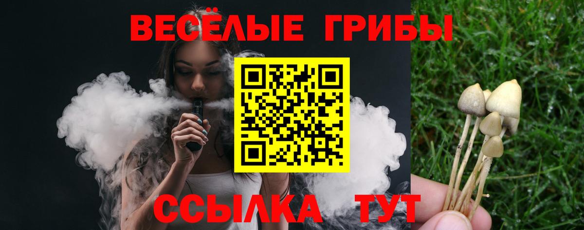Псилоцибиновые грибы Psilocybine cubensis Лесосибирск